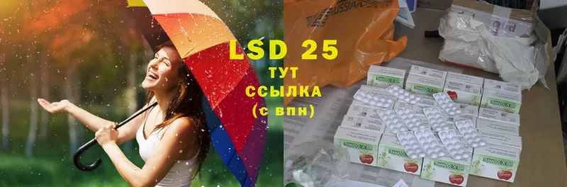 LSD-25 экстази кислота  наркошоп  Богучар 